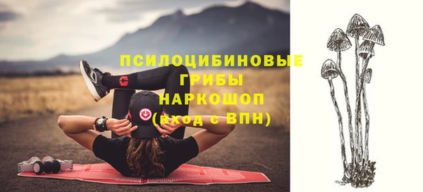 прущая мука Армянск