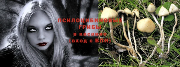 прущая мука Армянск