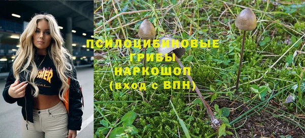 а пвп мука Арсеньев