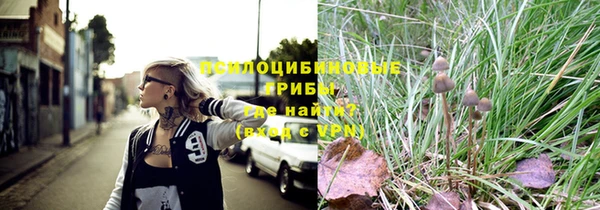 прущая мука Армянск