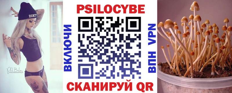 маркетплейс какой сайт  Райчихинск  Галлюциногенные грибы Psilocybine cubensis 
